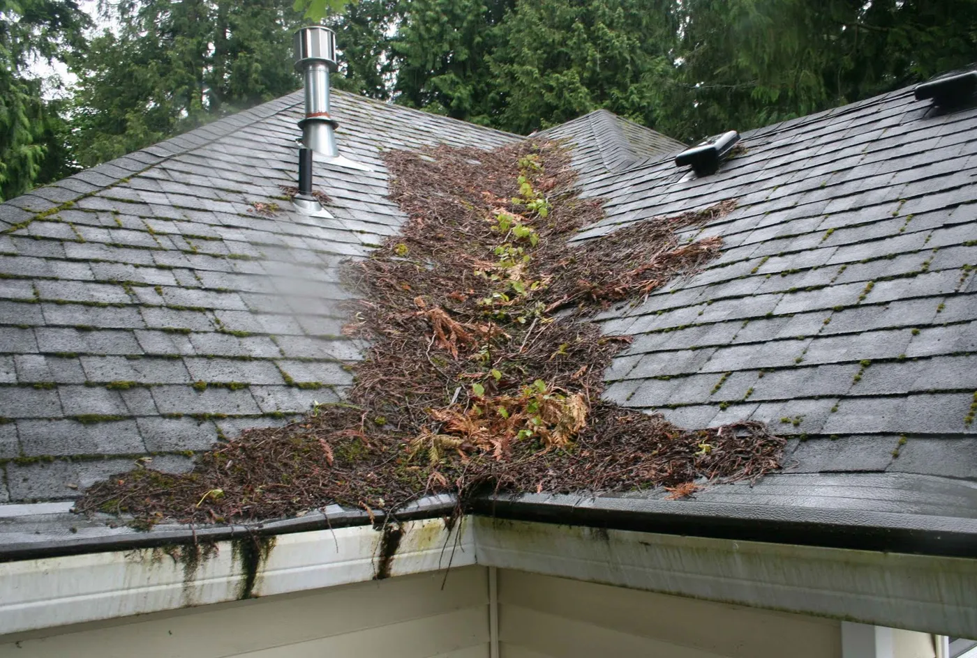 Gutters in Bellevue, WA