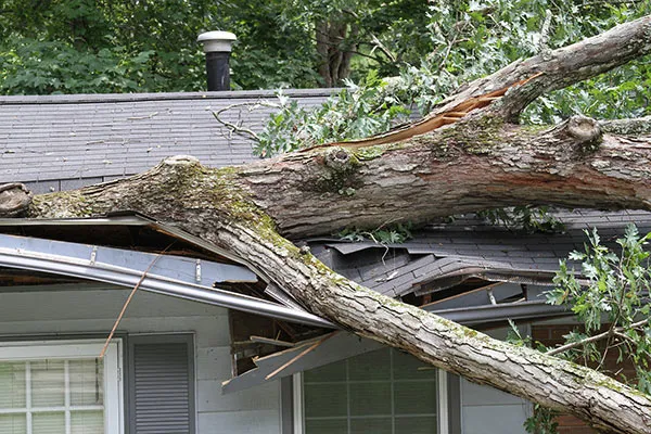 Built-up roofing